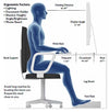 Ergonomic Assessment